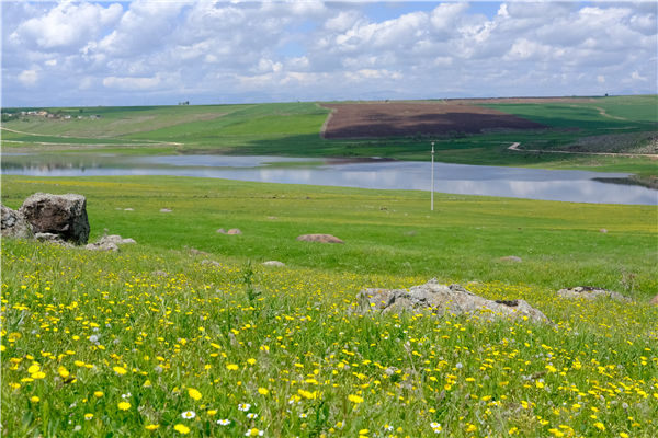 土壤水分測(cè)定儀 土壤水分測(cè)定儀